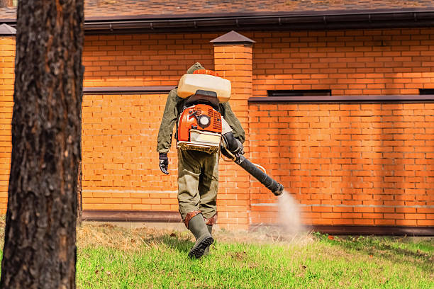 Trusted Mosquito Control service in Audubon Park, KY - Nex Pest Control